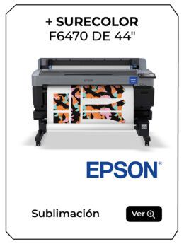 WEB EPSON-10