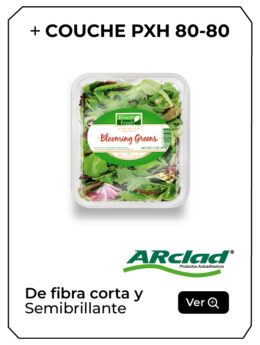 WEB PRODUCTOS ARCLAD-03-10