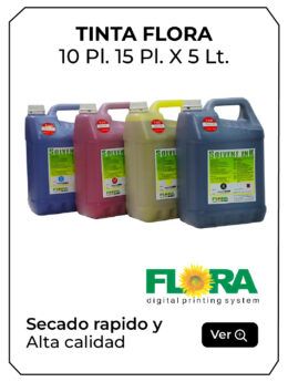 WEB TINTAS SOLVENTE 2025-01